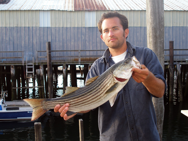 3rd Striped Bass 2007